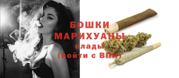 сатива Армянск