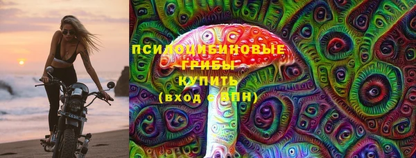 ПСИЛОЦИБИНОВЫЕ ГРИБЫ Арсеньев