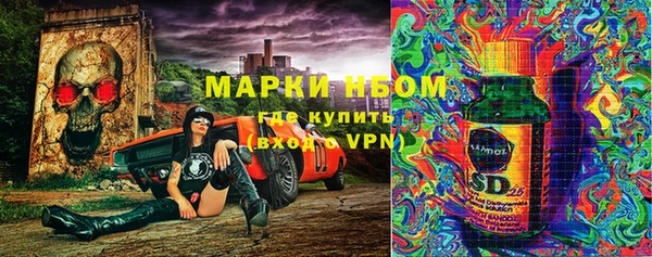 ПСИЛОЦИБИНОВЫЕ ГРИБЫ Арсеньев