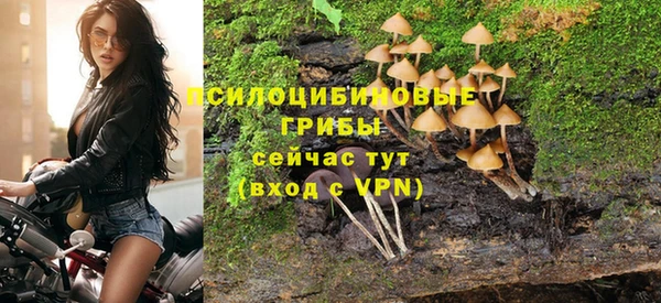 сатива Армянск