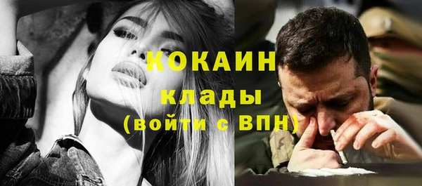 ПСИЛОЦИБИНОВЫЕ ГРИБЫ Арсеньев