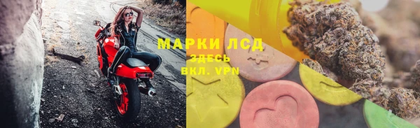 сатива Армянск
