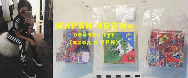 ПСИЛОЦИБИНОВЫЕ ГРИБЫ Арсеньев
