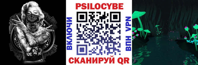 как найти наркотики  Мегион  Галлюциногенные грибы Psilocybine cubensis 